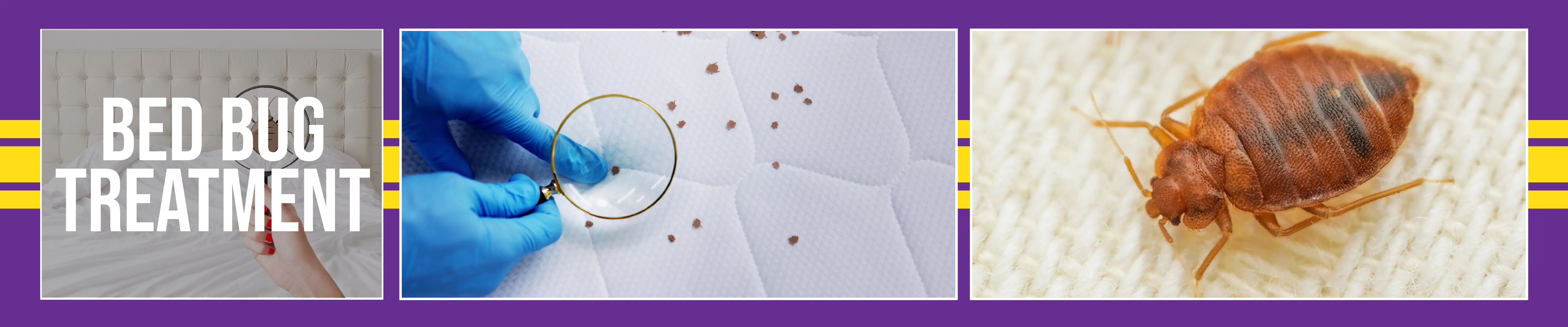 carpet cleaning in NYC, carpet cleaning in NYC, carpet cleaning NYC, carpet cleaners in NYC, carpet cleaners in NYC, commercial carpet cleaning, commercial carpet cleaning in NYC, NYC rug cleaners, rug cleaning services in NYC, same day carpet cleaning, same day rug cleaning