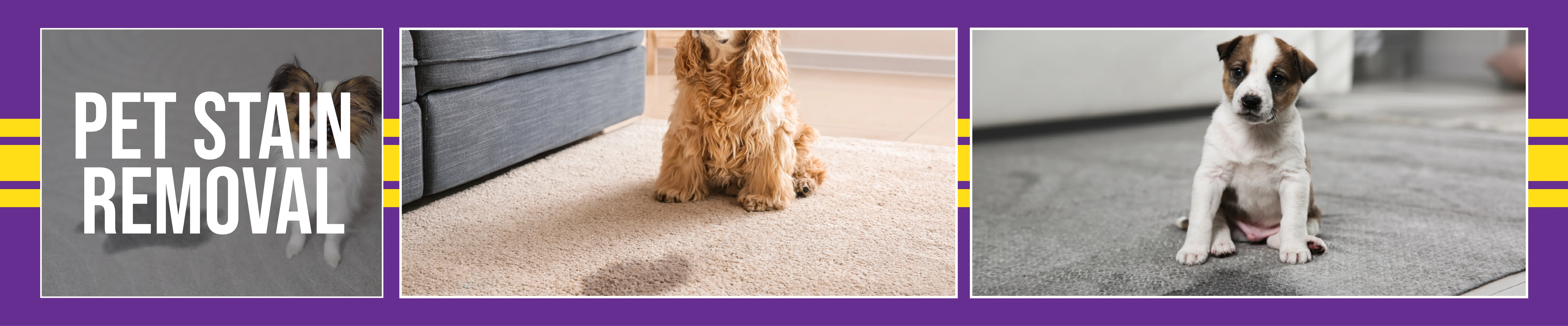 carpet cleaning in NYC, carpet cleaning in NYC, carpet cleaning NYC, carpet cleaners in NYC, carpet cleaners in NYC, commercial carpet cleaning, commercial carpet cleaning in NYC, NYC rug cleaners, rug cleaning services in NYC, same day carpet cleaning, same day rug cleaning