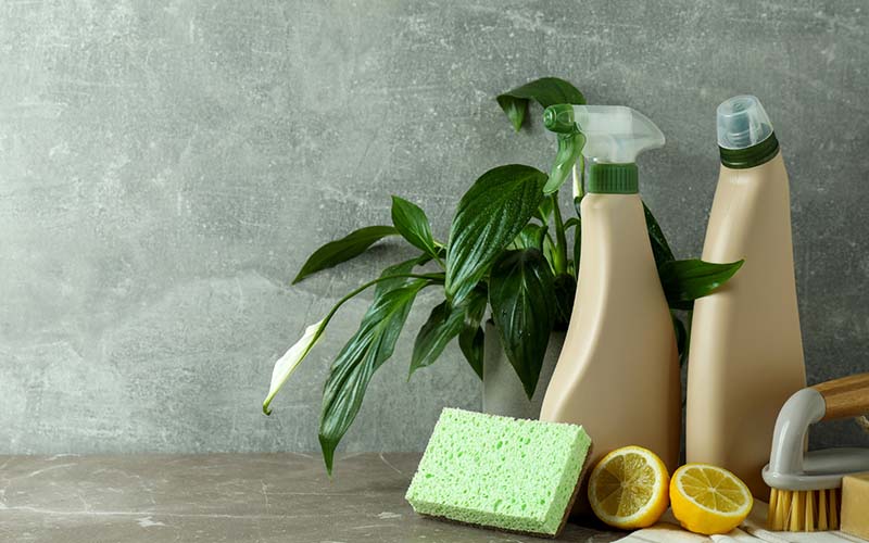 carpet cleaning in NYC, carpet cleaning in NYC, carpet cleaning NYC, carpet cleaners in NYC, carpet cleaners in NYC, commercial carpet cleaning, commercial carpet cleaning in NYC, NYC rug cleaners, rug cleaning services in NYC, same day carpet cleaning, same day rug cleaning